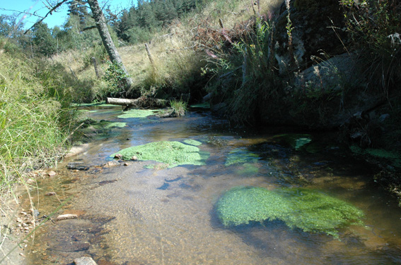 La Rivière Guitard